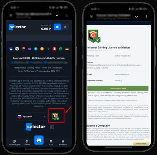 Лицензия казино Селектор